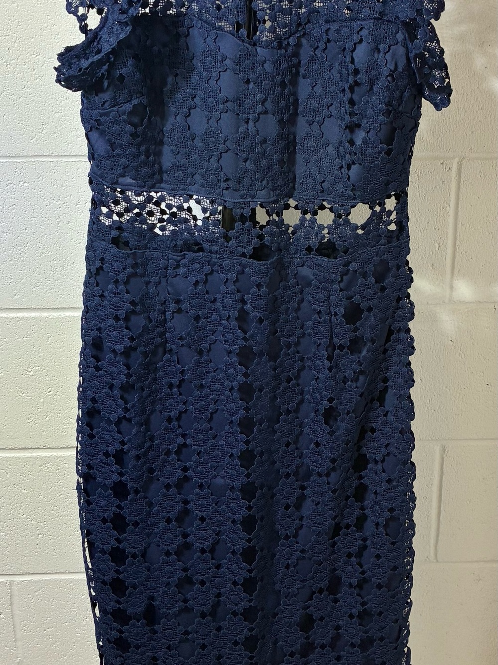 Petal and Pup Lauren Lace Overlay Dress Size 12 - Picture 3 of 7